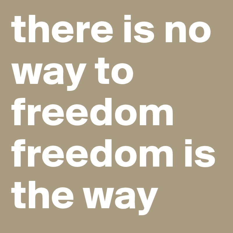 there is no way to freedom freedom is the way