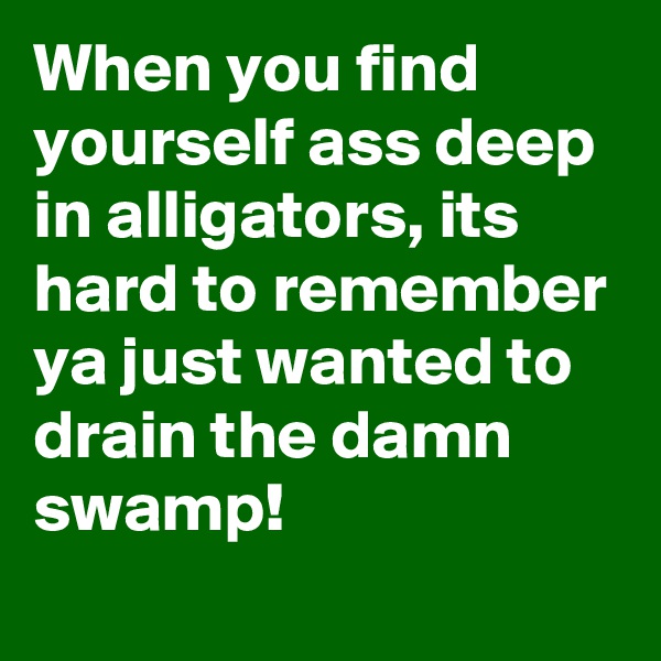 When you find yourself ass deep in alligators, its hard to remember ya just wanted to drain the damn swamp!