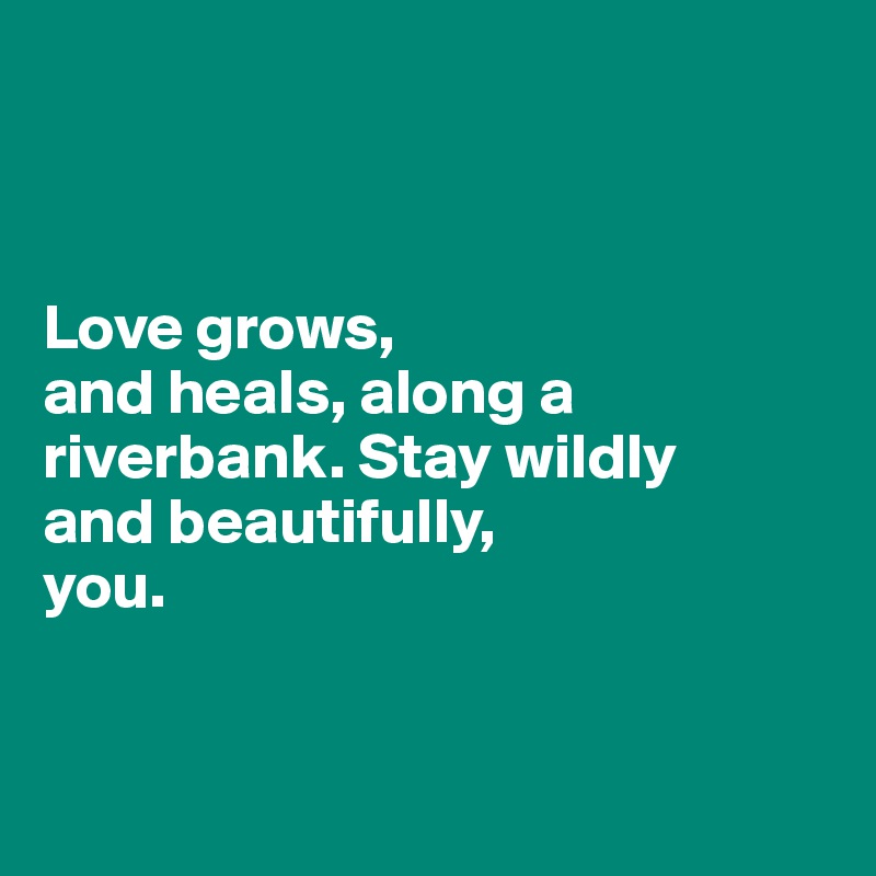 



Love grows, 
and heals, along a riverbank. Stay wildly 
and beautifully, 
you. 


