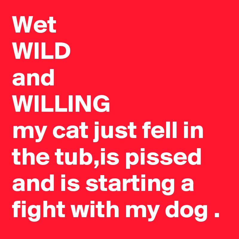 Wet
WILD
and
WILLING
my cat just fell in the tub,is pissed and is starting a fight with my dog .