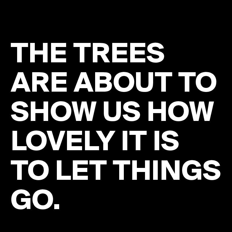 
THE TREES ARE ABOUT TO SHOW US HOW LOVELY IT IS TO LET THINGS GO.