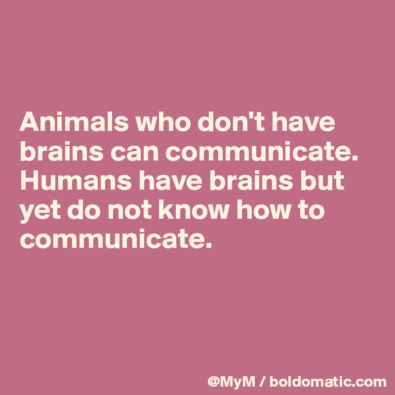 


Animals who don't have brains can communicate.  Humans have brains but yet do not know how to communicate.



