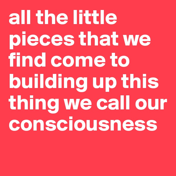 all the little pieces that we find come to building up this thing we call our consciousness
