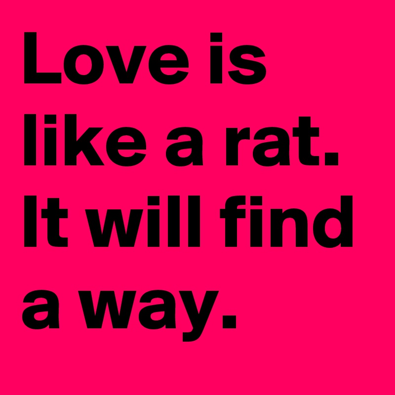 Love is like a rat. 
It will find a way.