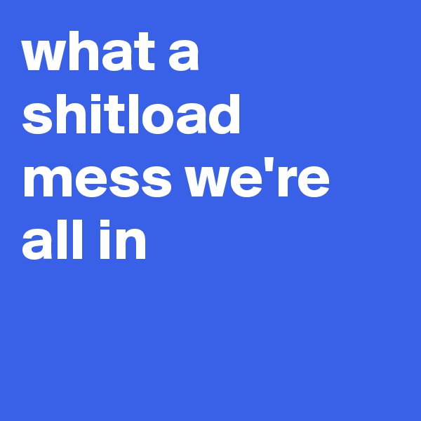 what a shitload mess we're  all in

