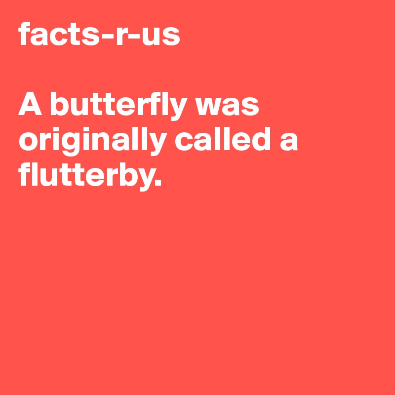 facts-r-us

A butterfly was originally called a flutterby.





