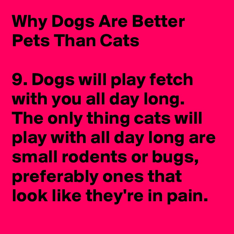 Why Dogs Are Better Pets Than Cats

9. Dogs will play fetch with you all day long. The only thing cats will play with all day long are small rodents or bugs, preferably ones that look like they're in pain.