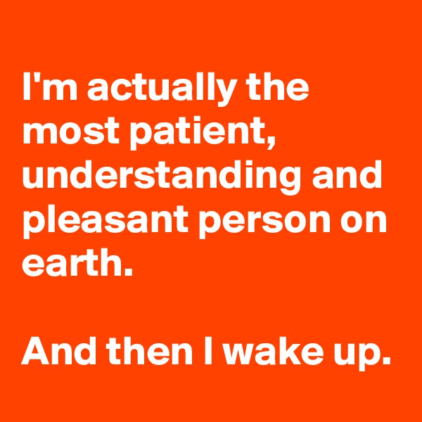 
I'm actually the most patient, understanding and pleasant person on earth. 

And then I wake up.