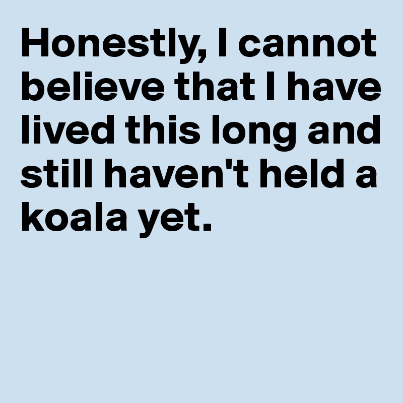 Honestly, I cannot believe that I have lived this long and still haven't held a koala yet. 


