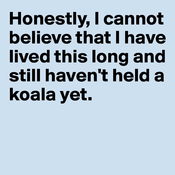 Honestly, I cannot believe that I have lived this long and still haven't held a koala yet. 


