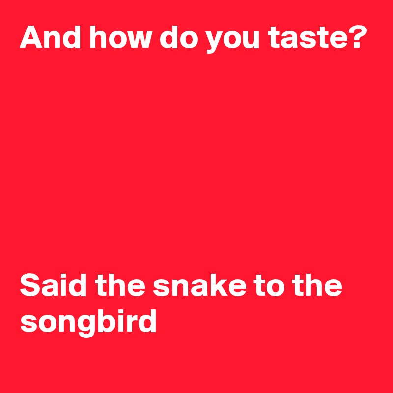 And how do you taste? 






Said the snake to the songbird