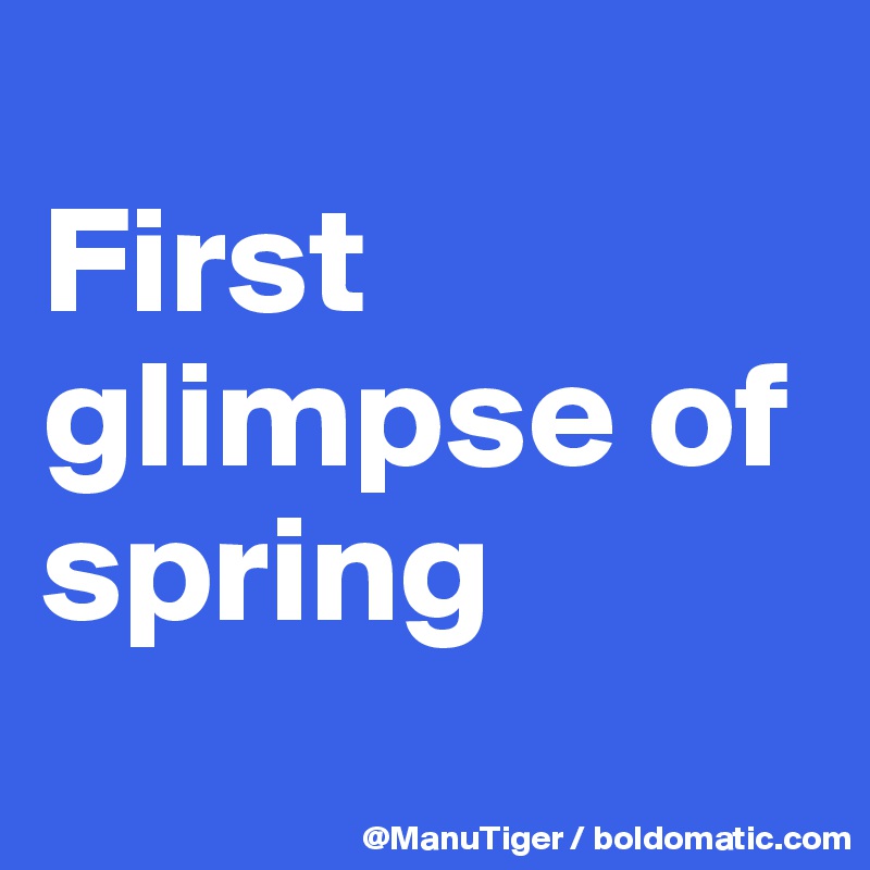 
First glimpse of spring
