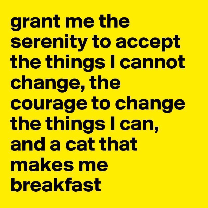 grant me the serenity to accept the things I cannot change, the courage to change the things I can, and a cat that makes me breakfast