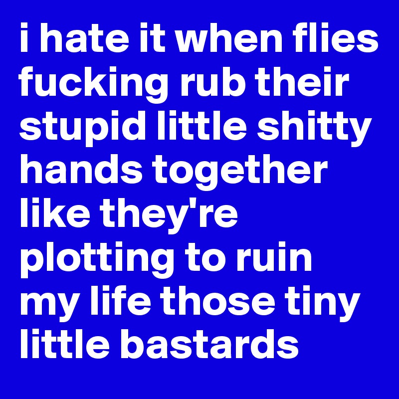 i hate it when flies fucking rub their stupid little shitty hands together like they're plotting to ruin my life those tiny little bastards