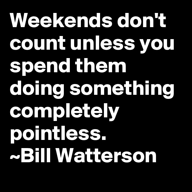 Weekends don't count unless you spend them doing something completely pointless.
~Bill Watterson