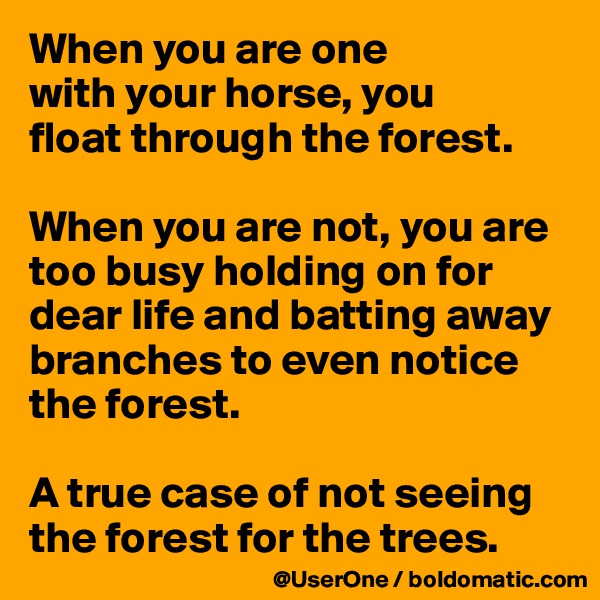 When you are one
with your horse, you
float through the forest. 

When you are not, you are too busy holding on for dear life and batting away branches to even notice the forest.

A true case of not seeing the forest for the trees.