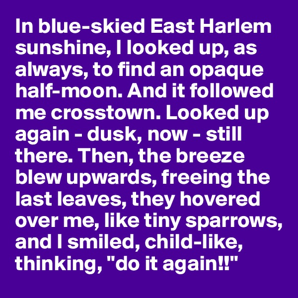In blue-skied East Harlem sunshine, I looked up, as always, to find an opaque half-moon. And it followed me crosstown. Looked up again - dusk, now - still there. Then, the breeze blew upwards, freeing the last leaves, they hovered over me, like tiny sparrows, and I smiled, child-like, thinking, "do it again!!"