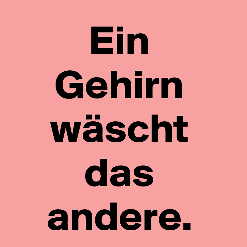 Ein
Gehirn
wäscht
das
andere.