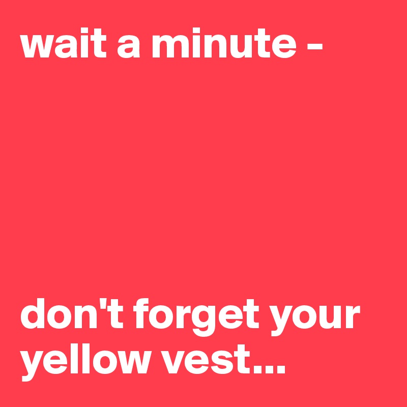 wait a minute - 





don't forget your yellow vest...