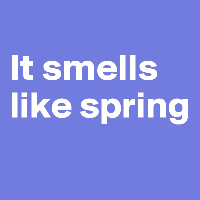 
It smells like spring
