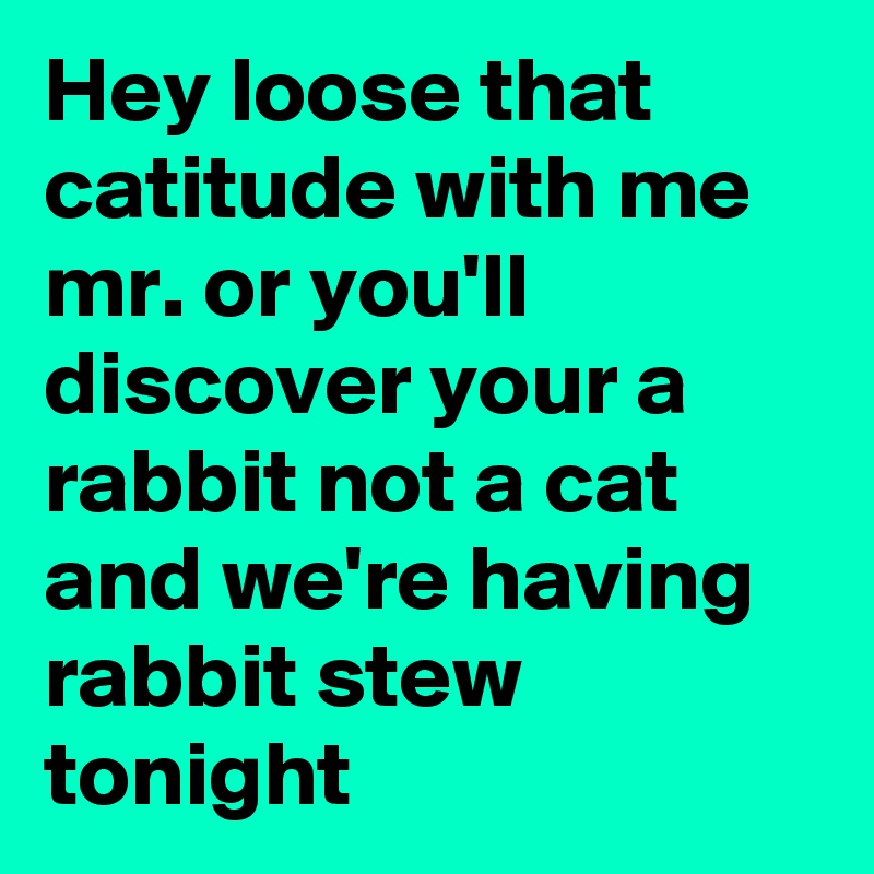 Hey loose that catitude with me mr. or you'll discover your a rabbit not a cat and we're having rabbit stew tonight
