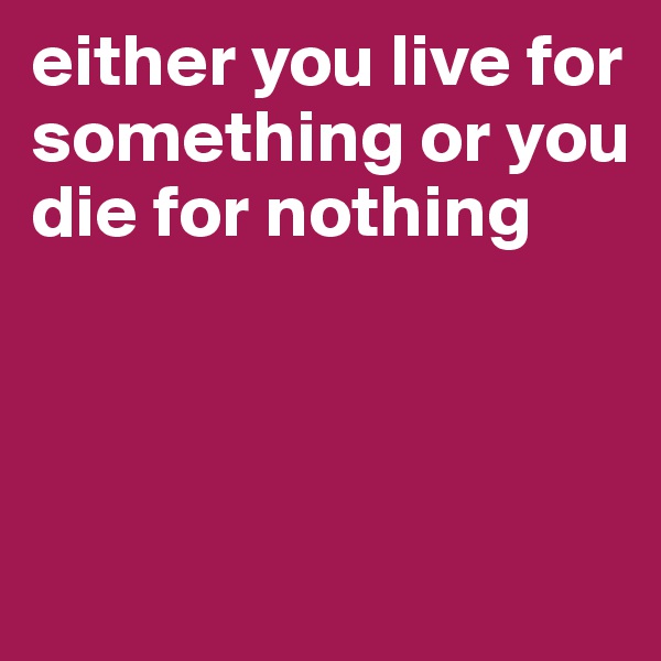 either you live for something or you die for nothing



