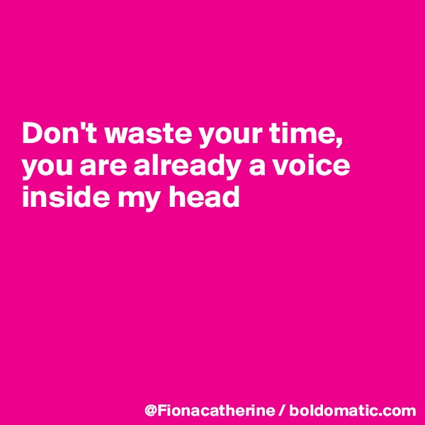 


Don't waste your time,
you are already a voice inside my head






