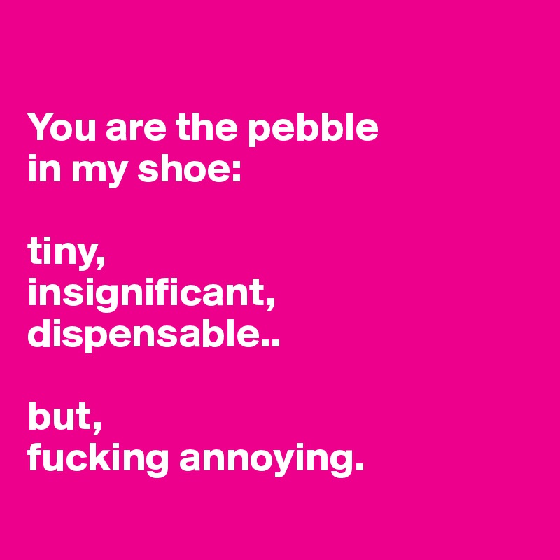 

You are the pebble 
in my shoe:

tiny,
insignificant,
dispensable..
 
but, 
fucking annoying.
