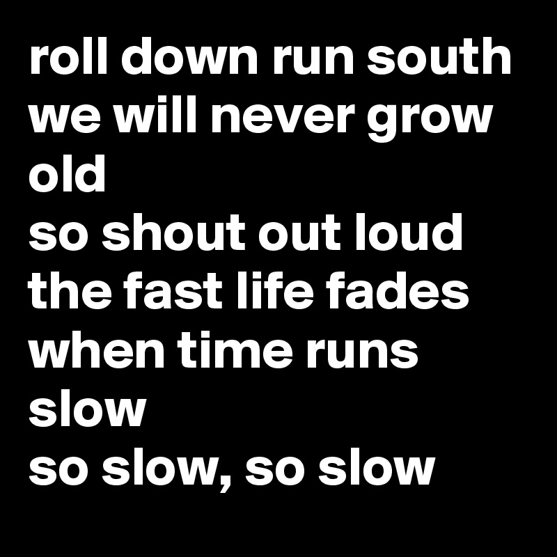roll down run south
we will never grow old
so shout out loud
the fast life fades
when time runs slow
so slow, so slow