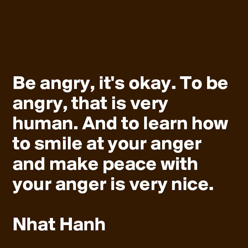


Be angry, it's okay. To be angry, that is very human. And to learn how to smile at your anger and make peace with your anger is very nice.

Nhat Hanh