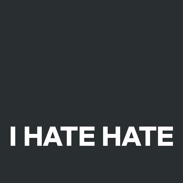 



I HATE HATE 