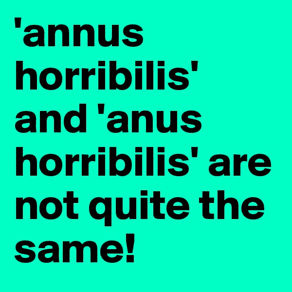 'annus horribilis' and 'anus horribilis' are not quite the same!