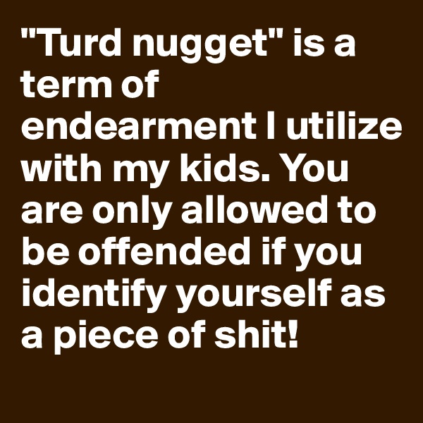 "Turd nugget" is a term of endearment I utilize with my kids. You are only allowed to be offended if you identify yourself as a piece of shit!