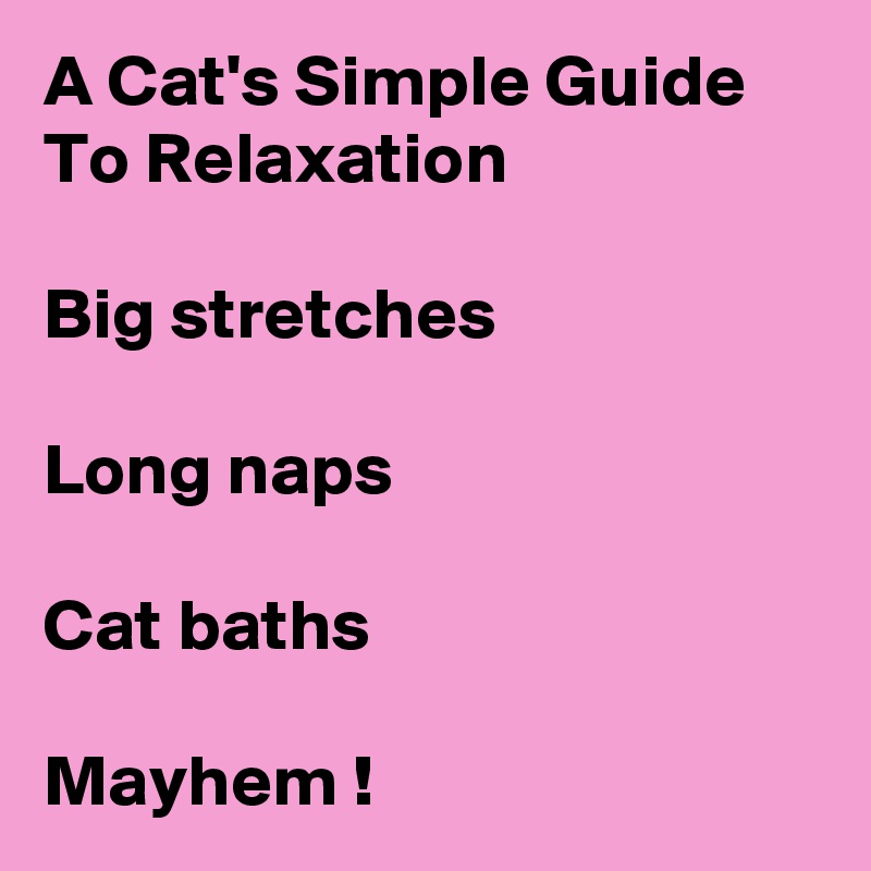 A Cat's Simple Guide To Relaxation

Big stretches

Long naps

Cat baths

Mayhem !