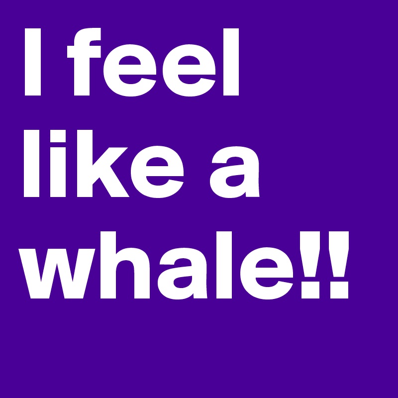 I feel like a whale!!