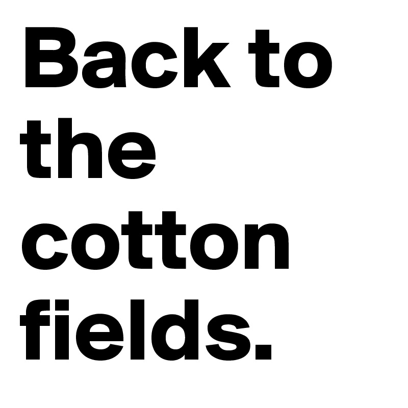 Back to the cotton fields.