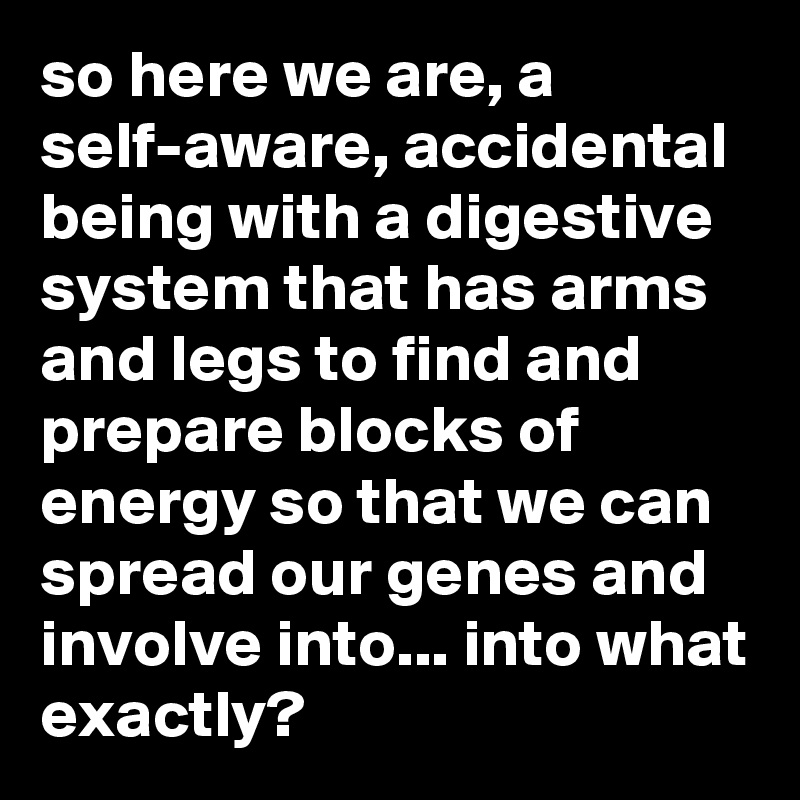 so here we are, a self-aware, accidental being with a digestive system that has arms and legs to find and prepare blocks of energy so that we can spread our genes and involve into... into what exactly?