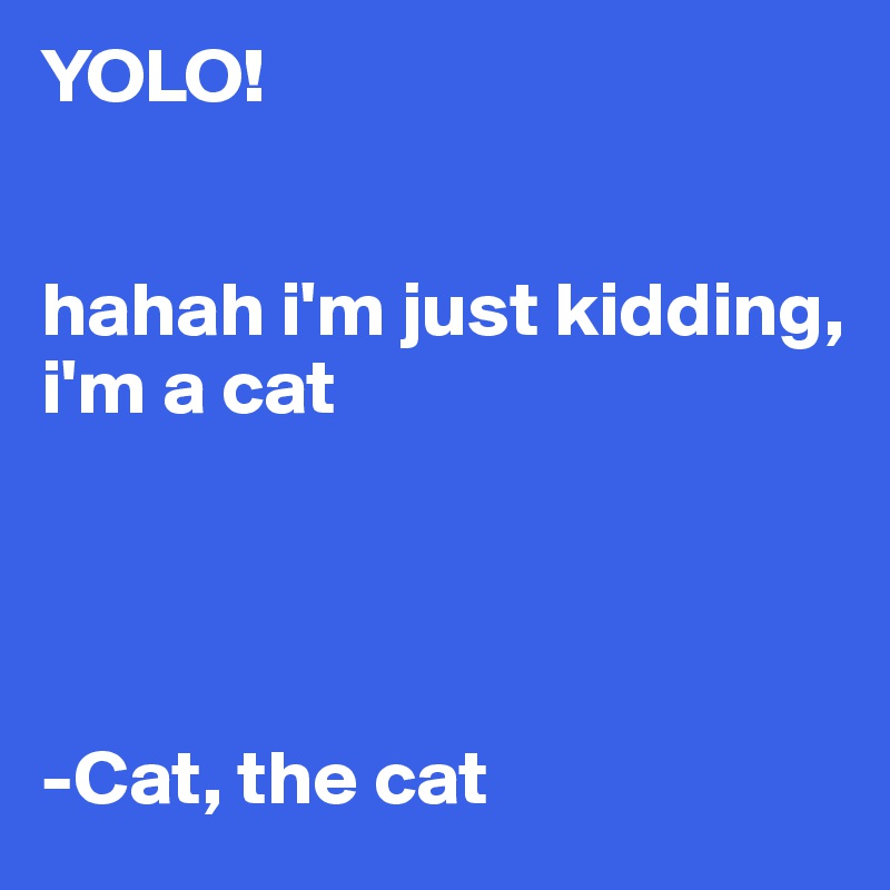 YOLO!


hahah i'm just kidding,
i'm a cat




-Cat, the cat