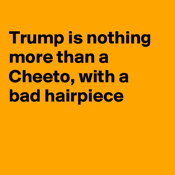 
Trump is nothing more than a Cheeto, with a bad hairpiece


