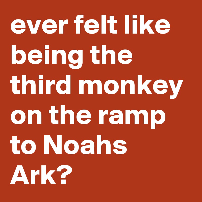 ever felt like being the third monkey on the ramp to Noahs Ark?