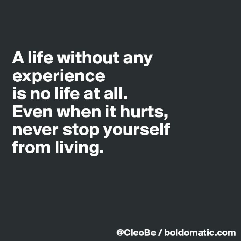 

A life without any experience
is no life at all.
Even when it hurts, 
never stop yourself 
from living.



