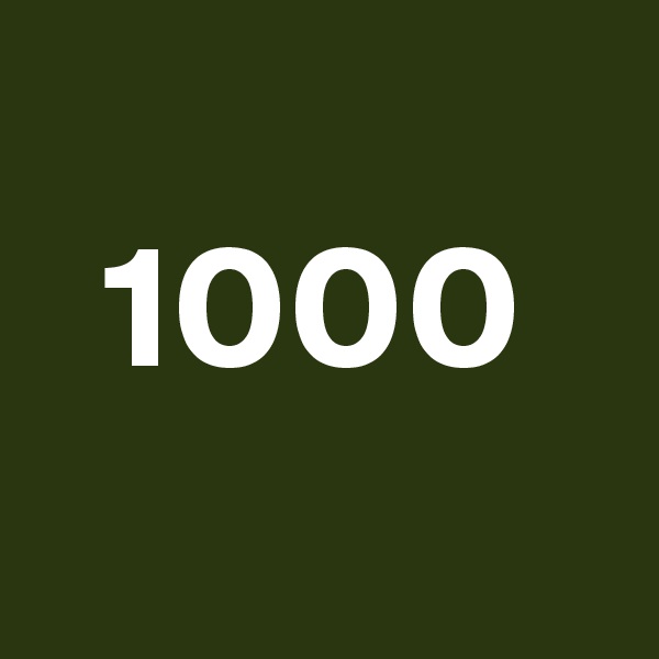 
  1000