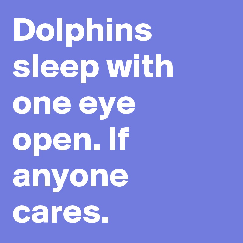 Dolphins sleep with one eye open. If anyone cares.