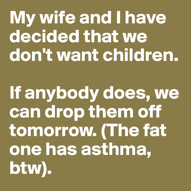 My wife and I have decided that we don't want children. 

If anybody does, we can drop them off tomorrow. (The fat one has asthma, btw).