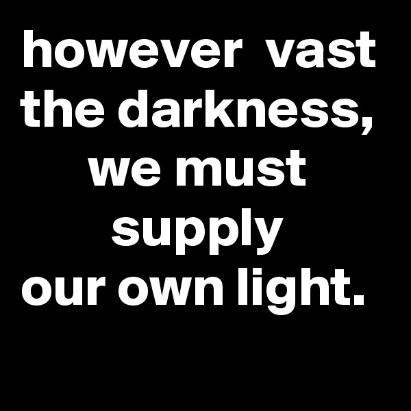 however  vast
the darkness,       we must               supply      our own light. 