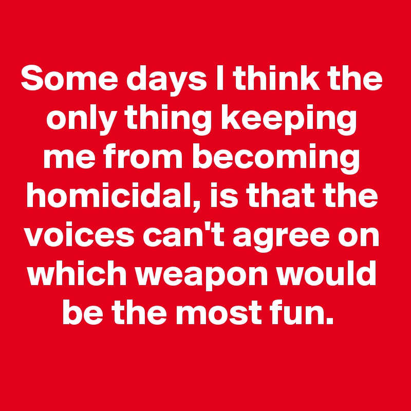 
Some days I think the only thing keeping me from becoming homicidal, is that the voices can't agree on which weapon would be the most fun. 
