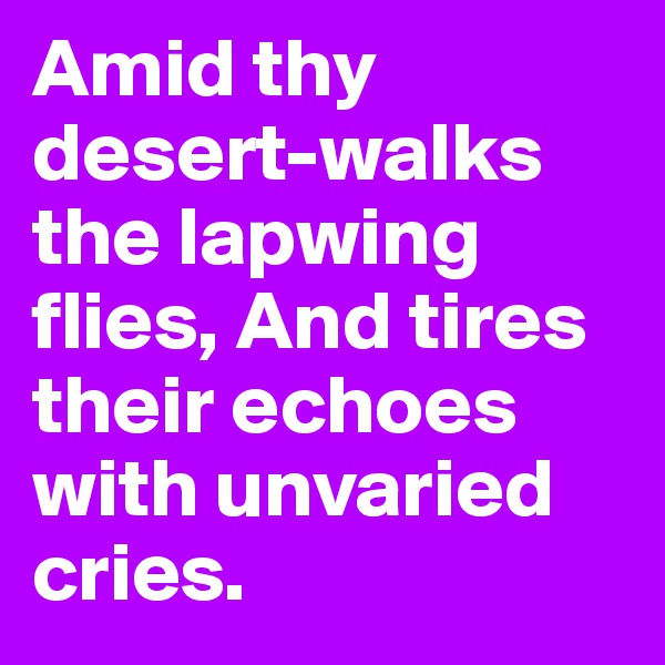 Amid thy desert-walks the lapwing flies, And tires their echoes with unvaried cries.