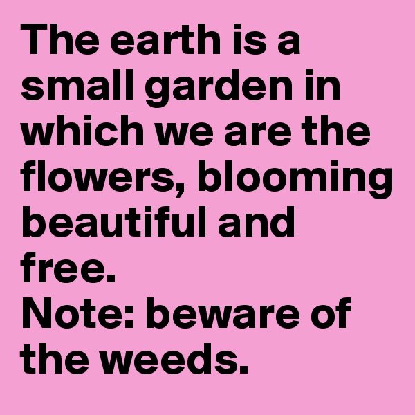 The earth is a small garden in which we are the flowers, blooming beautiful and free.
Note: beware of the weeds.
