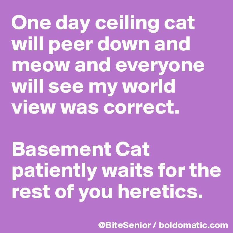 One Day Ceiling Cat Will Peer Down And Meow And Everyone Will See