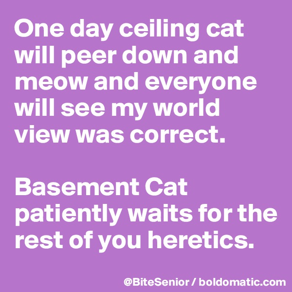 One day ceiling cat will peer down and meow and everyone will see my world view was correct. 

Basement Cat patiently waits for the rest of you heretics. 